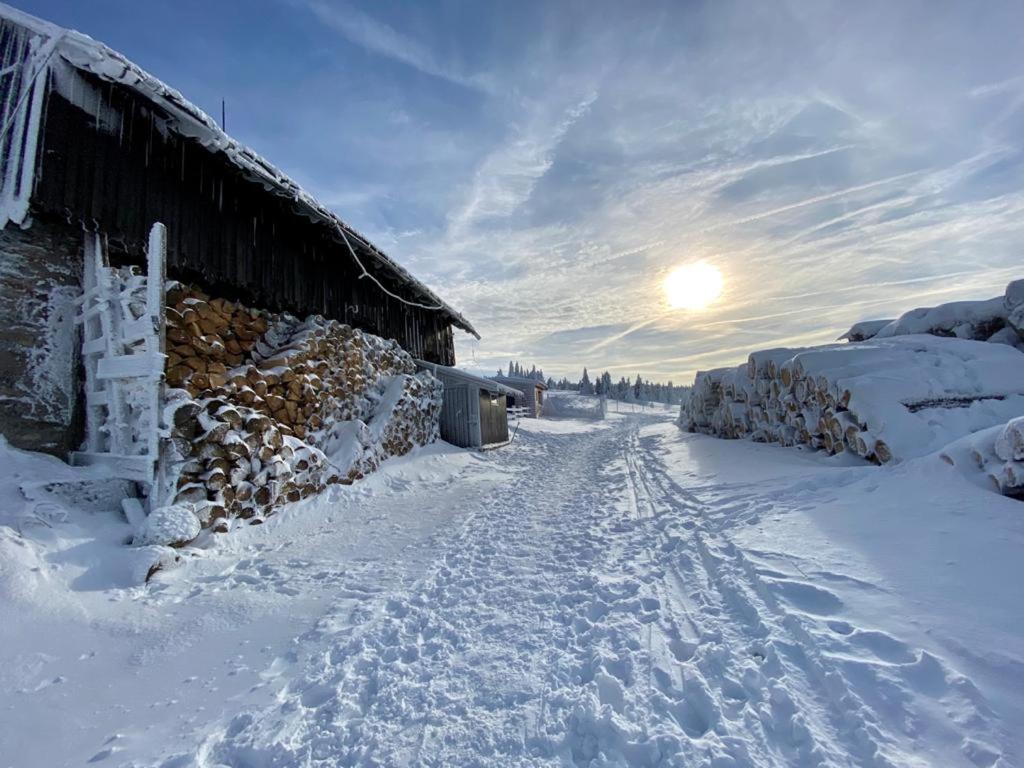Sw Apartamenty Czarna Gora Sienna  Exteriör bild